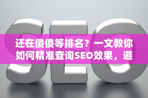 还在傻傻等排名？一文教你如何精准查询SEO效果，避开那些‘假’工具！
