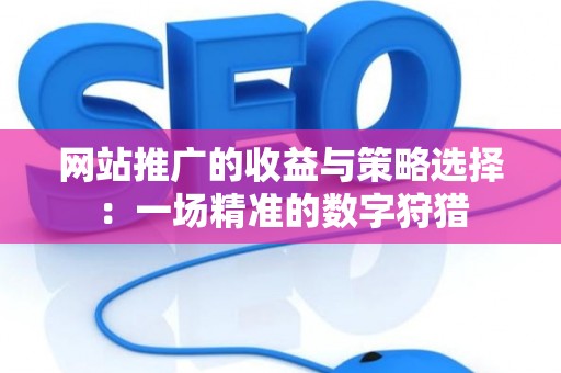 网站推广的收益与策略选择：一场精准的数字狩猎