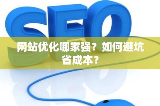 网站优化哪家强？如何避坑省成本？
