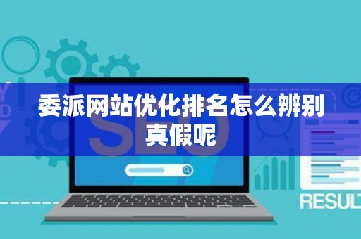 委派网站优化排名怎么辨别真假呢