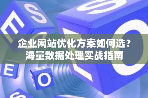 企业网站优化方案如何选？海量数据处理实战指南