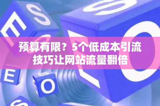 预算有限？5个低成本引流技巧让网站流量翻倍